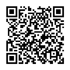 也就是雇佣兵开始介入马哈代夫的国内政权变动了二维码生成