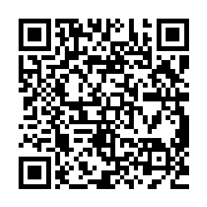 也就是青蛟一族的大长老蛟无忌的目光也落到了龙傲天的身上二维码生成