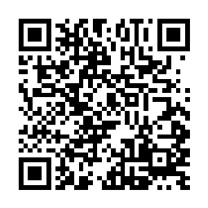 也就是鸿基集团的副董事长提及他上次说联手的事情二维码生成