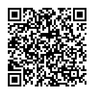 也就有传闻说甄婕可能会出任华民集团董事局秘书兼任董事长助理二维码生成