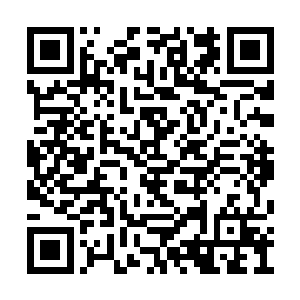 也就没有了逃出这片不断崩溃的虚幻世界的希望二维码生成