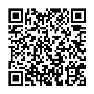 也就看看这位被赶出去的师侄怎么解决这次的事情了二维码生成