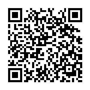 也就说仅仅一块九品灵晶如果换算成一品灵晶的话二维码生成