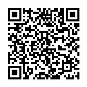 也就造就了叶秋他们可以这么早就突破这道防御工事二维码生成