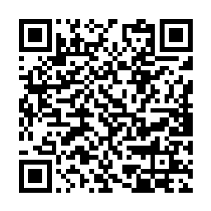 也就难怪花园里那么多株灵药却极少有人能采到了二维码生成