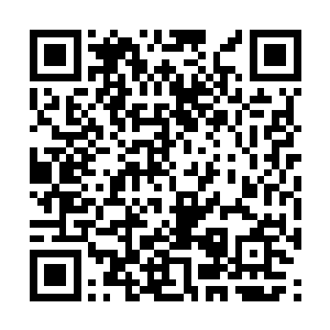 也就顺便在迎翠堂抓药了――反正是价格都差不多二维码生成