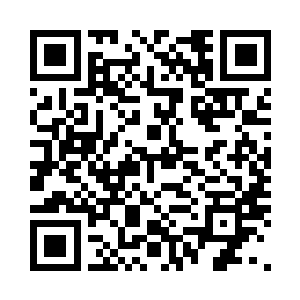 也尽都砍得一节一节的血肉淋漓……二维码生成