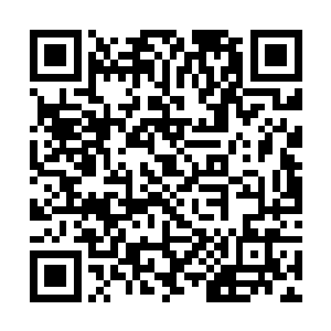 也属实没有必要派出他们药王谷的长老也参加大赛了二维码生成