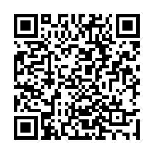 也差不多可以把这趟拉原石的运费给赚出来了不是二维码生成