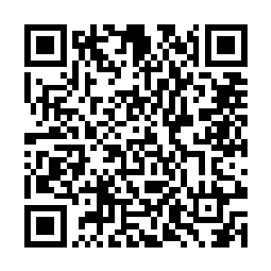 也已经快要达到极致了……杜天恒此刻只有两个选择二维码生成