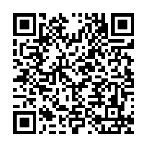 也已经相信她就是她当年亲手交到魔宫老宫主手中的那个女儿二维码生成