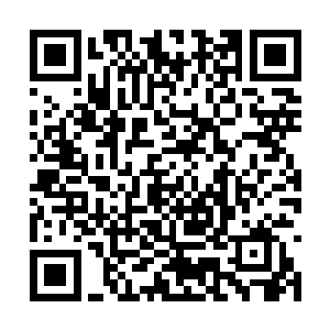 也并无看向那些来自于主神级势力的忌惮以及羡慕二维码生成