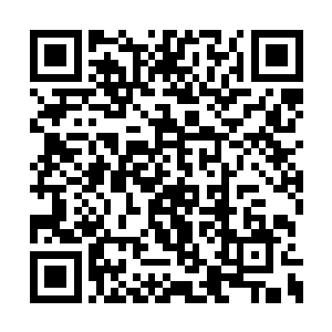 也并沒有因为林放的做法而感觉到有任何的不适二维码生成
