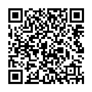 也幸亏三圣殿原班人马留在这里的修士修为最高才元婴后期二维码生成