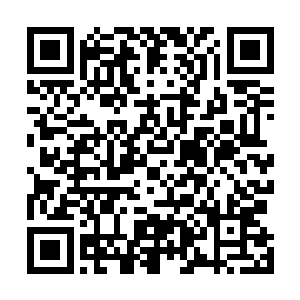 也幸亏小星星及时开启传送切断了鳄鱼和发条等人的通道二维码生成