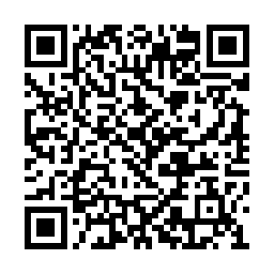 也幸亏这通道是集合了外界所有强者之力打造的二维码生成