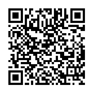 也幸好有陆为民这个年龄虽轻但是却也算是久经沙场的老手二维码生成
