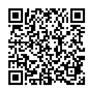 也应当极力为农民寻找到一条在家中就能增收致富的路径二维码生成