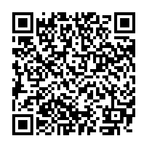 也开始像许紫烟那样烙印了一缕神识在张无界体内的一丝生机之上二维码生成