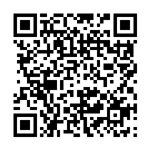 也强迫自己不去想数年的分离后再见他容貌的激动二维码生成