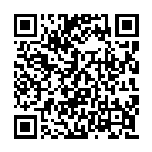 也往往会在斗争当中损耗对方的一部分灵魂本源二维码生成
