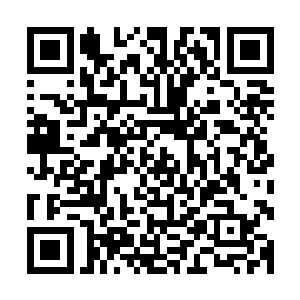 也很在意李谦和王靖雪之间那至今都让大家猜不透的诡异关系二维码生成