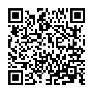 也很少有领主界主将所有的星域都交给自己势力内的修士二维码生成