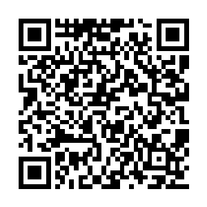 也很想知道为什么秋神医会选择一个废物做弟子二维码生成