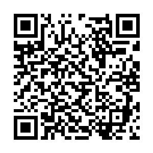 也很难想像自己的几个女人会在那边跟着一起鼓掌二维码生成