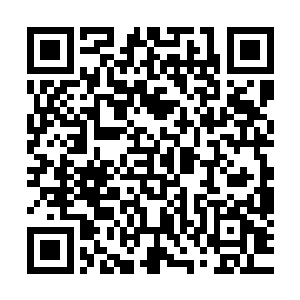 也很难责怪乡镇这一级政权采取各种手段来收取有什么不对了二维码生成