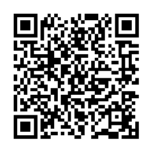 也很难责怪乡镇这一级政权采洒种手段来收取有什么不对了二维码生成