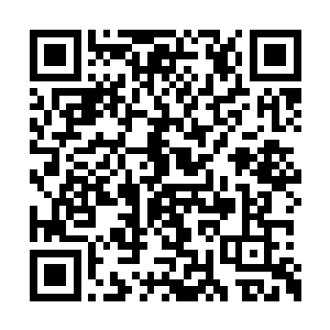 也必须迎来宗门对她的第一项考验――战场修炼二维码生成