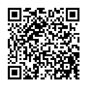 也怀念着她与大娘冲进这路边的泥泞里推动货车时的模样二维码生成
