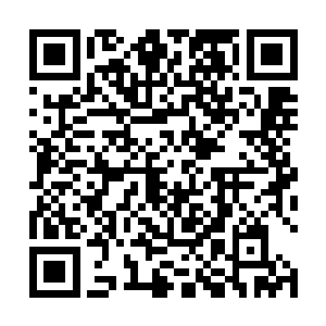 也惋惜在张潇晗回到仙农洞府后他也忙于迎接师门来人二维码生成