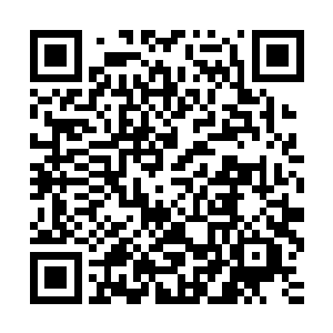 也惟有他金仙级别的修为与对这世界深刻的理解才能做到这一点二维码生成