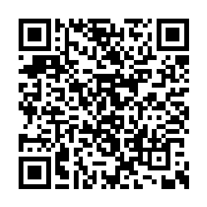 也想不出来你会是这副什么都无所谓的死人模样二维码生成