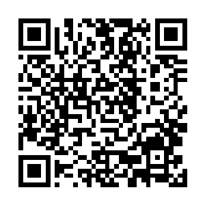 也想清楚了刺客为何会闯过厉王府的层层守卫跑到这里来二维码生成