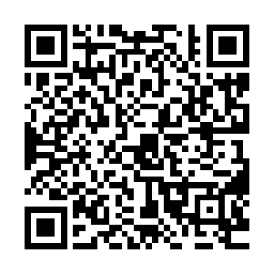 也想看看她是否如传闻中的那般温婉贤淑……梓箐这一声呵斥二维码生成