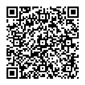 也想要收编我的子民你不过是个厉害点的人仙连东佛不念都不敢动这念头你算什么二维码生成