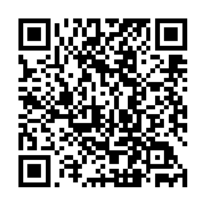 也意味着自动激活导演合约中百分之二十票房分成条款二维码生成