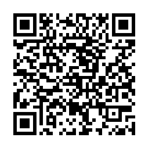 也懒得去追问赵虎是怎么干掉这个快要领悟威能的巨汉二维码生成