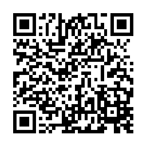 也或许是这里面的八卦信息早已经超过了打人这件事情二维码生成