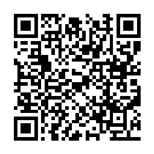 也才完全接受了自己的紫府已经提前进入仙的领域二维码生成