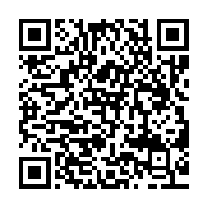 也才真正意识到敖厉刚才击打西河老祖那一戟力量有多么恐怖二维码生成
