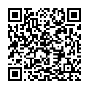也抱着试试运气以及瞧瞧热闹的心态也跟着进入了魔兽山脉二维码生成
