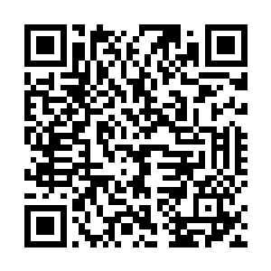 也拿出一颗七品丹药来换取嘉果之松时同样是吃了一惊二维码生成