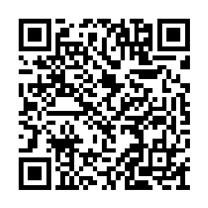 也无非是九年前他捂着流血的伤口找她帮助遮掩二维码生成