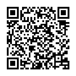 也无非是袭灭月和罗莉少女为众人准备了一些熟食和生食二维码生成