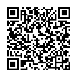也既有可能是他根据从玄鸦子那里获得的阵法秘典二维码生成