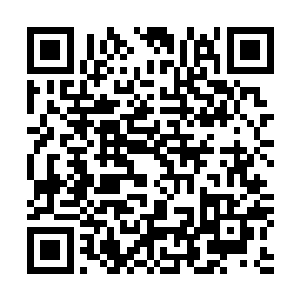 也早就已经做好了去另一个世界陪伴她那无敌的夫君的准备二维码生成